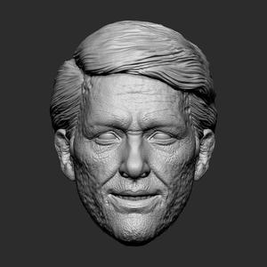 Deadpool wig - Deadpool and Wolverine head