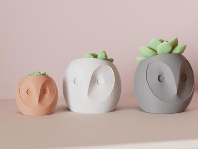 Succulent Plant Pot. Cute Owl Planter.