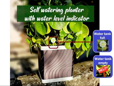 Self watering planter with water level indicator