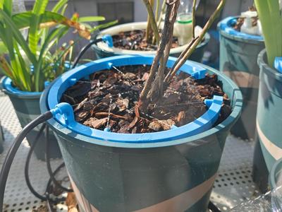 Waterer around the pot