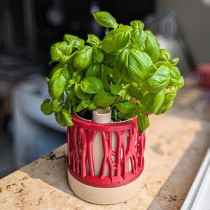 Self Watering Pot with Organic - Modular Frame