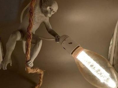 home monkey lamp