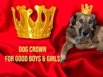 Dog Crown with Bones
