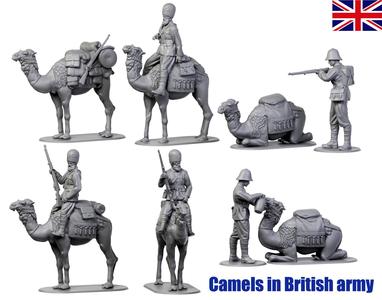 Camels in British army