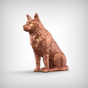 Australian Cattle Dog 3D Print Model Pose 04