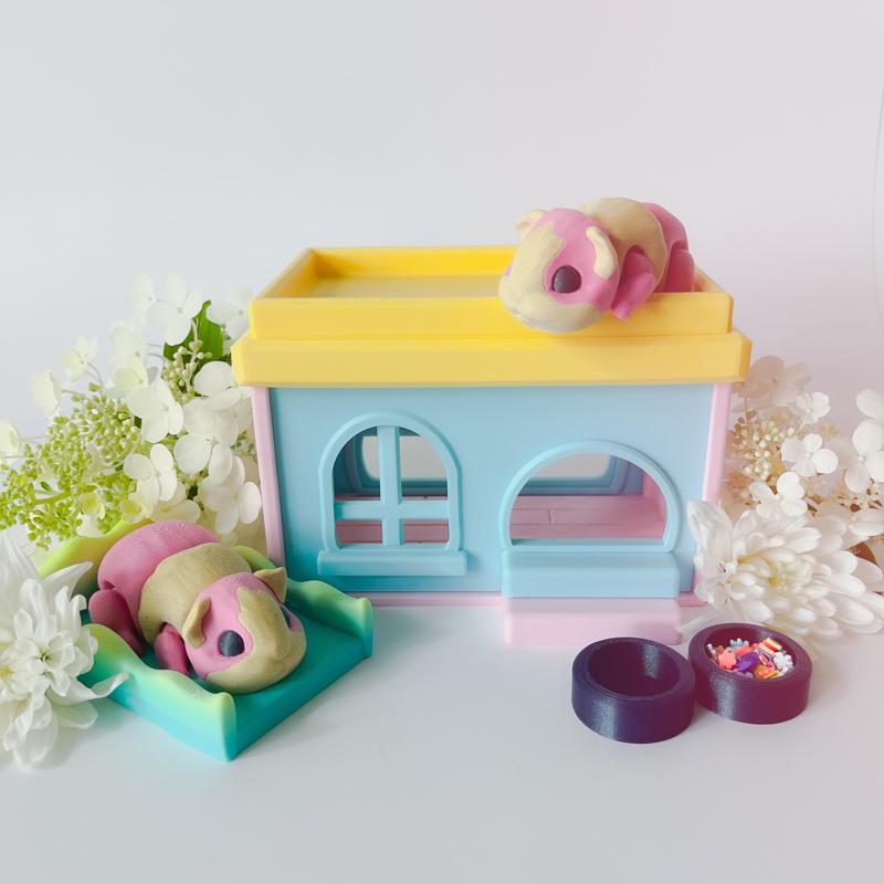 Guinea Pig Flexi and Home