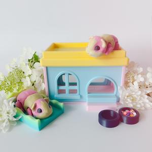 Guinea Pig Flexi and Home