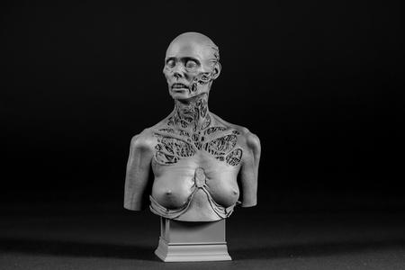 Famine Bust (4 Horsemen) (Pre-Supported)