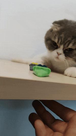 Magnetic Mouse