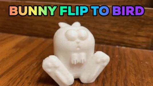 Bunny or Bird