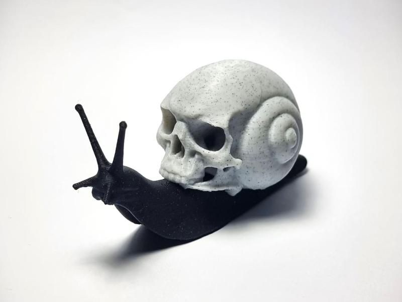 Snail Skull