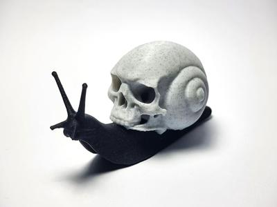 Snail Skull
