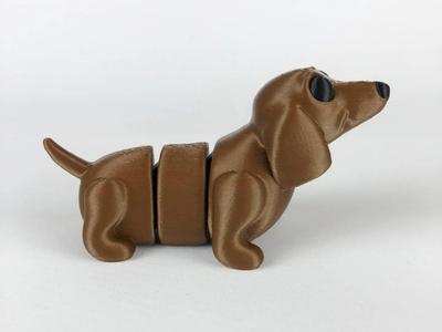 Cute Dachshund Flexi