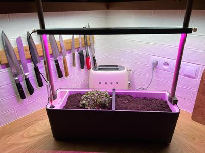 Growing light pot