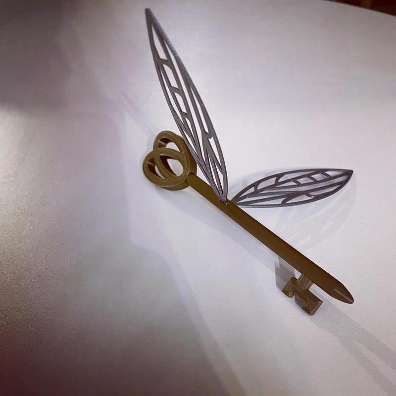 Flying Key of Harry Potter