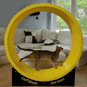 Cat Wheel 3D Print
