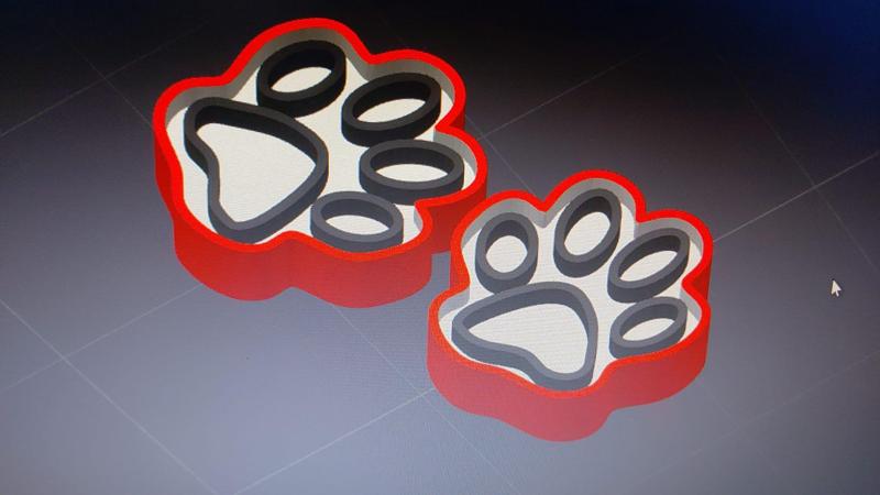 Dog Paw Print Earrings: Unmistakable Love