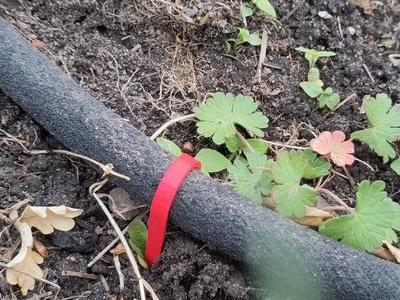 Garden hose ground anchor