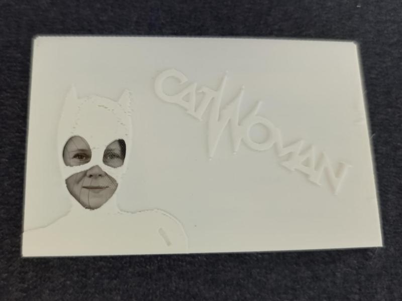 ID card case/cover - CatWoman v2