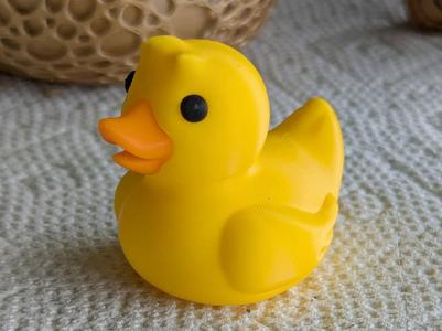 PawP_Duckie Jeep Friend_v2
