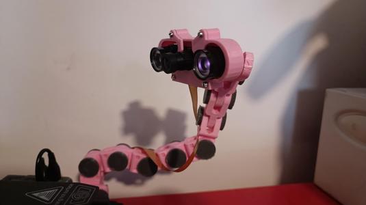 Raspberry Pi Cam IR case for Sneaks' arm