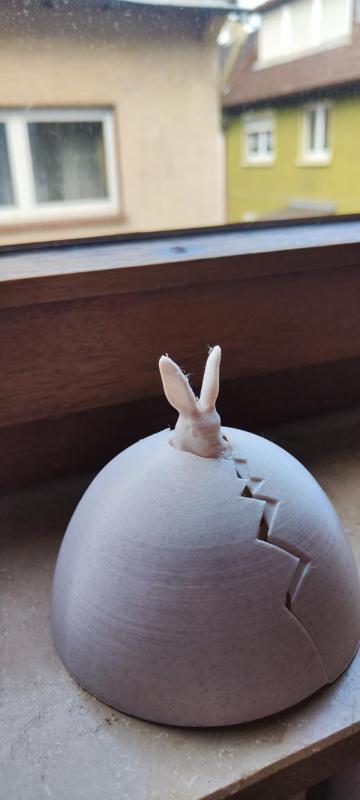 Easter Bunny Surprise Egg