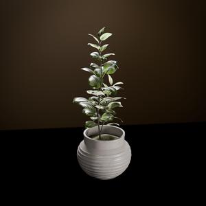 Planter - Desktop Planter 06