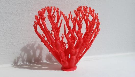 Heart HEART