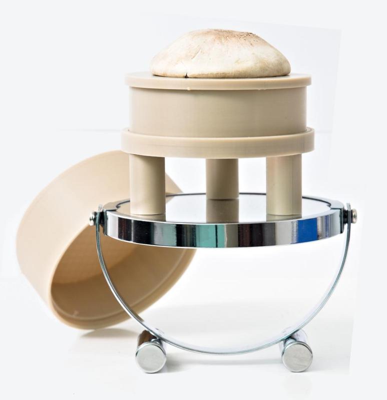 Mushroom Spore Printer