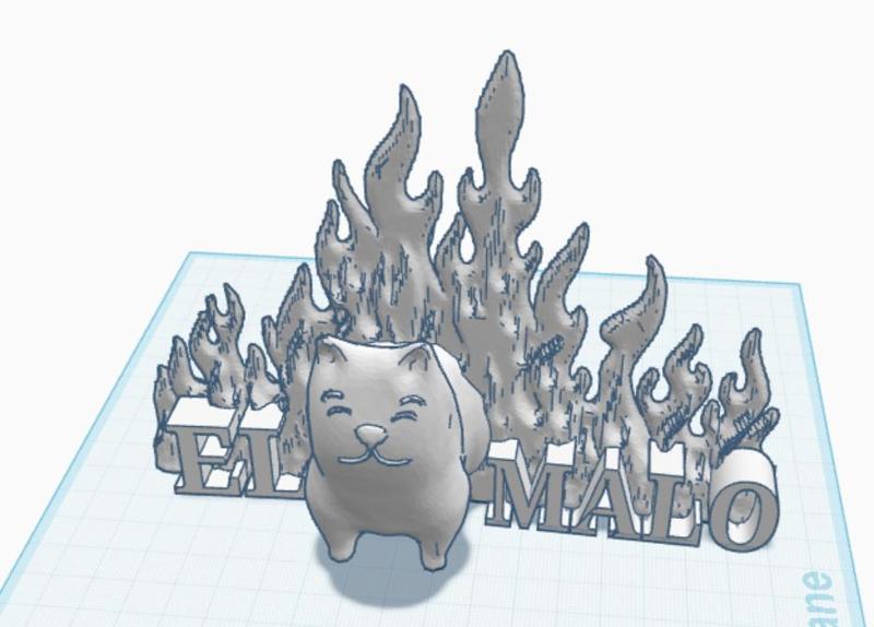 Funny Cat Walking through fire