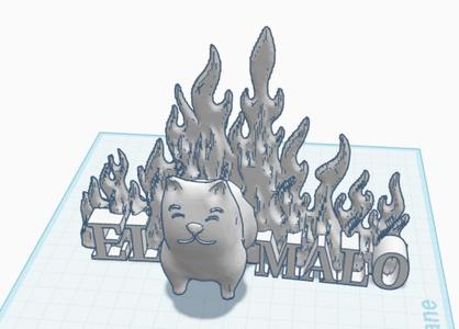 Funny Cat Walking through fire