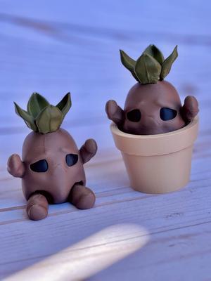 Flexi Root Baby + Pot 