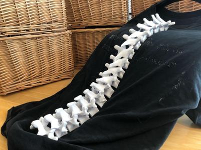 Wearable Spine