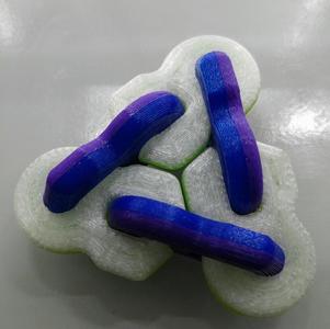 [NEW] Multi-color Split Rounded Fidget Widget