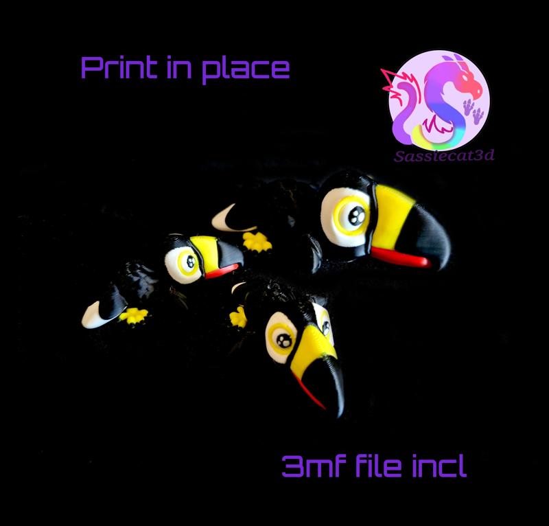 Hatchling Toucan (Personal Use)