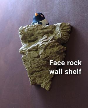 Rock wall shelf with face
