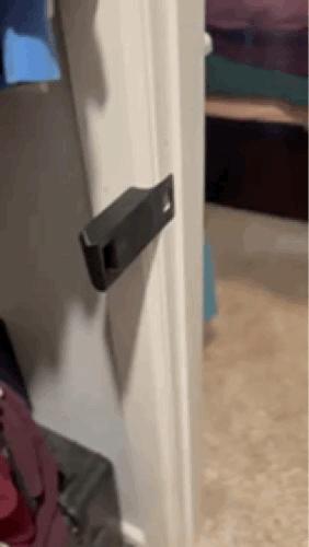 Cat Dog Door Latch