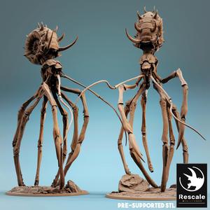 CrabWader