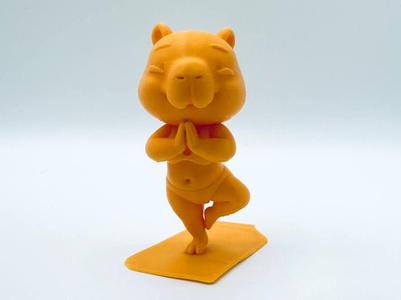 Capybara Yoga
