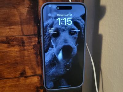 iPhone [Mag Safe] Wall Mount