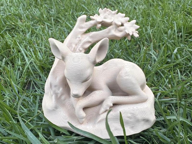 Sleeping Baby Deer