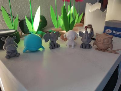 Adorable Animals