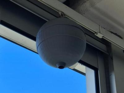 Wasp nest decoy
