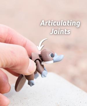 Plodding Platypus - Articulated Fidget Platypus - Ludo Flexy