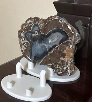 Rock or Mineral Specimen Display Stand - Oval