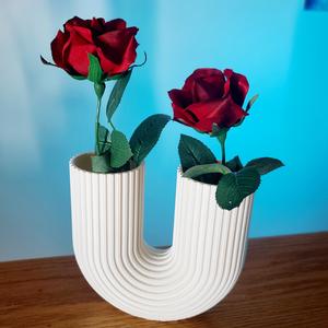 Affection Arc - U Shaped Modern Vase