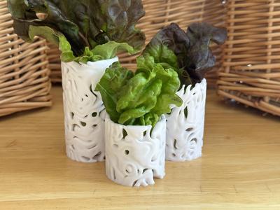 Lactuca Cylinder Vase Medium