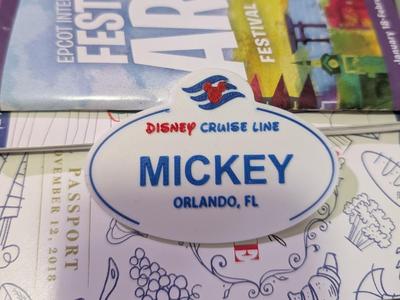 Custom - Disney Cruise Line name tag & pins