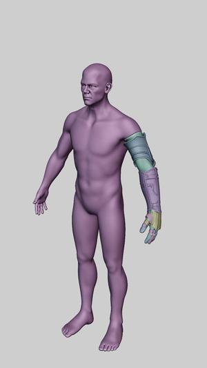 MECHANICAL ARM LIES OF P