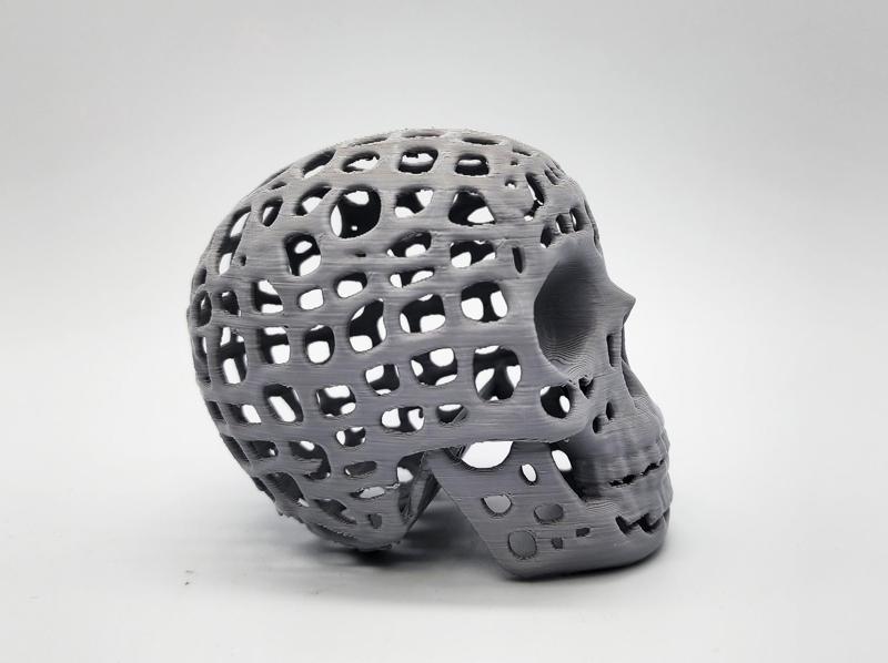 Mind is a Jail Skull